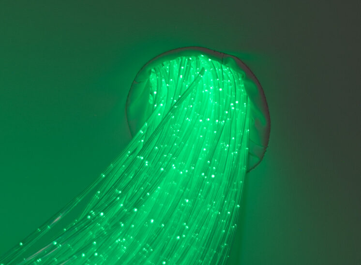Playlearn product close-up detail of glowing fiber optic