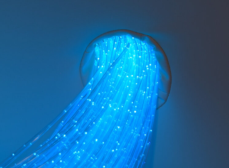 Playlearn product close-up detail of glowing fiber optic