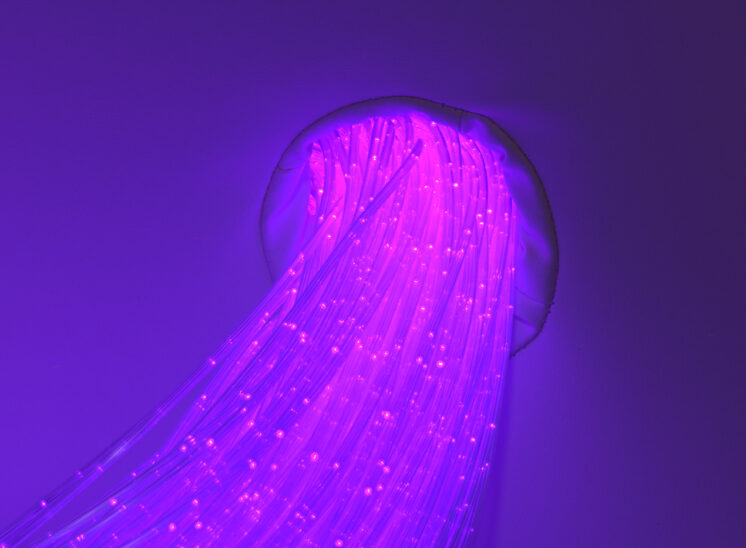 Playlearn product close-up detail of glowing fiber optic